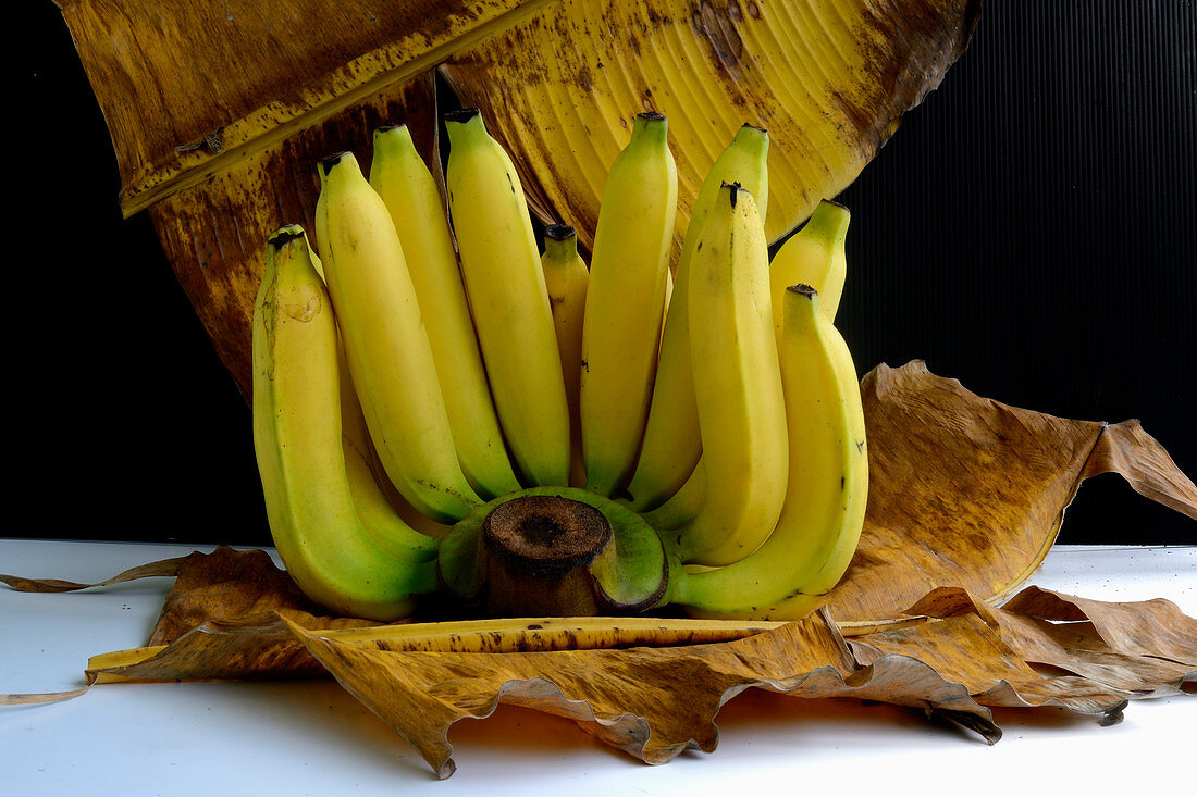 A bunch of bananas on dried banana leaves