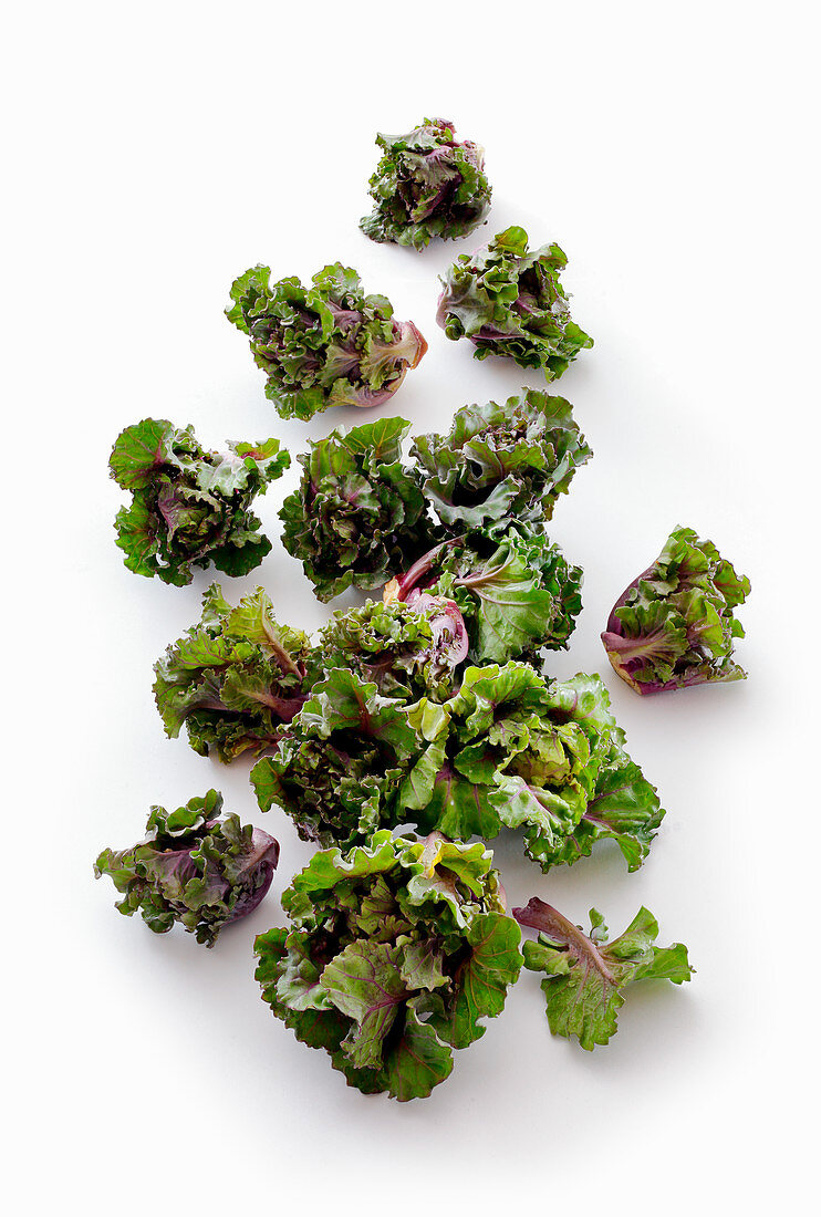 Flower sprout (a cross between a Brussels sprout and green kale)