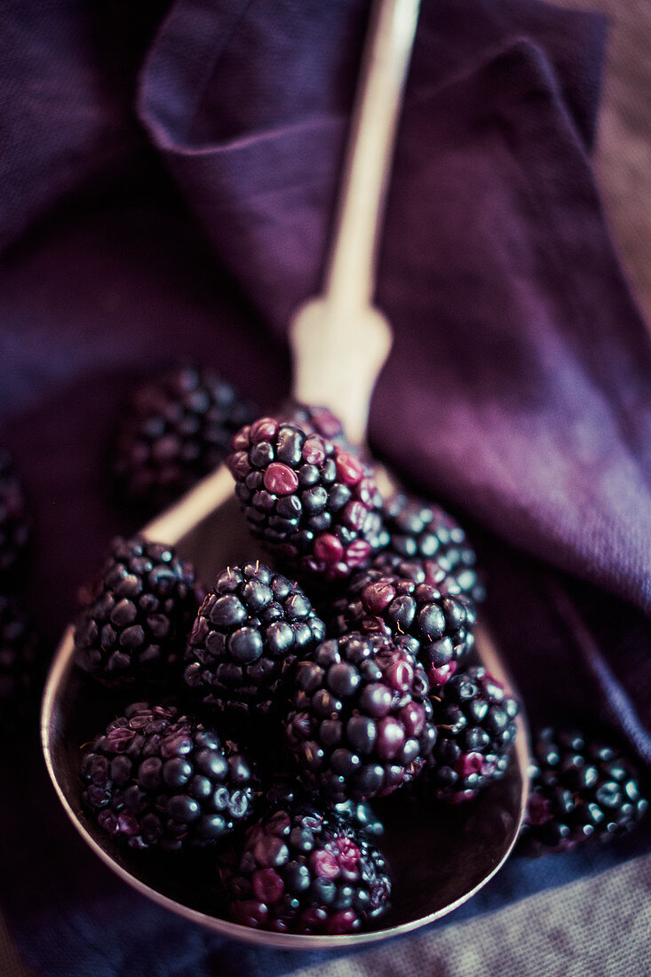 Fresh blackberries