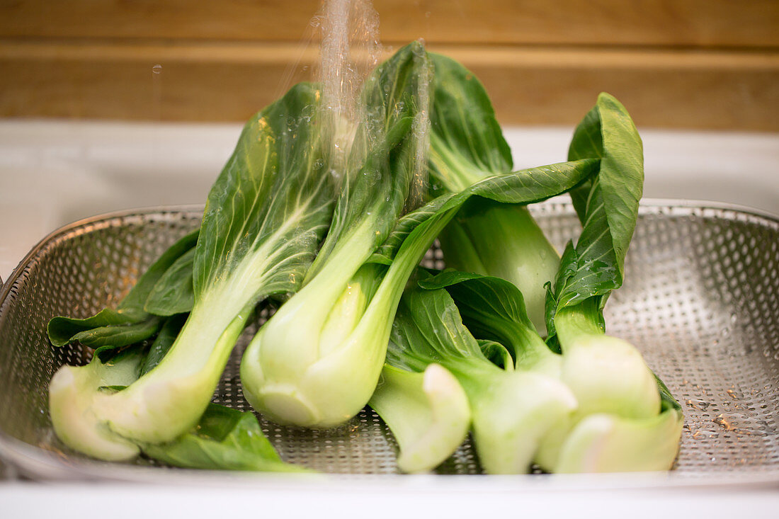 Pak Choi unter Wasserstrahl