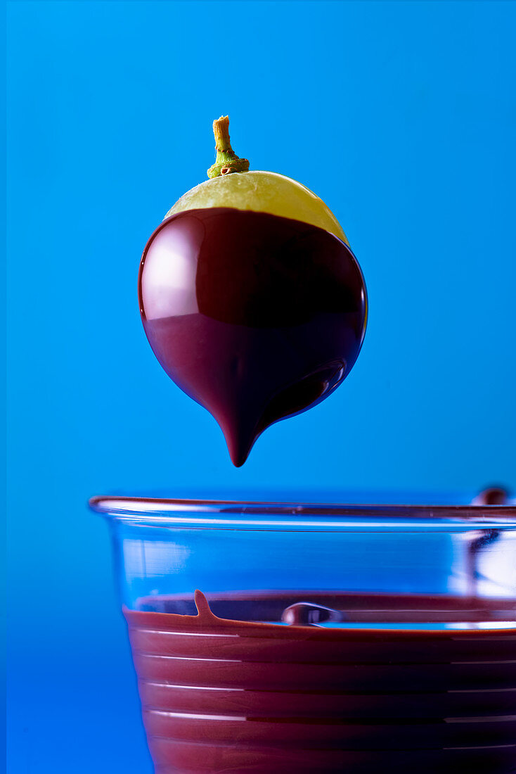 A grape dipped in chocolate