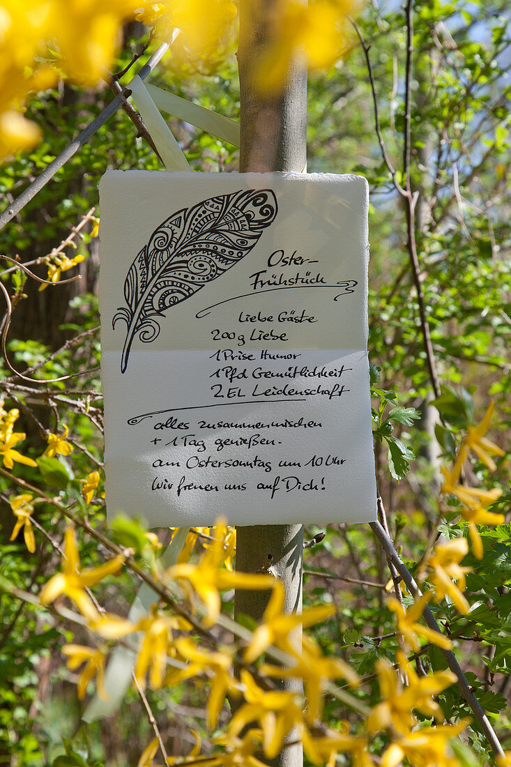 Handwritten invitation to Easter breakfast amongst flowering forsythia
