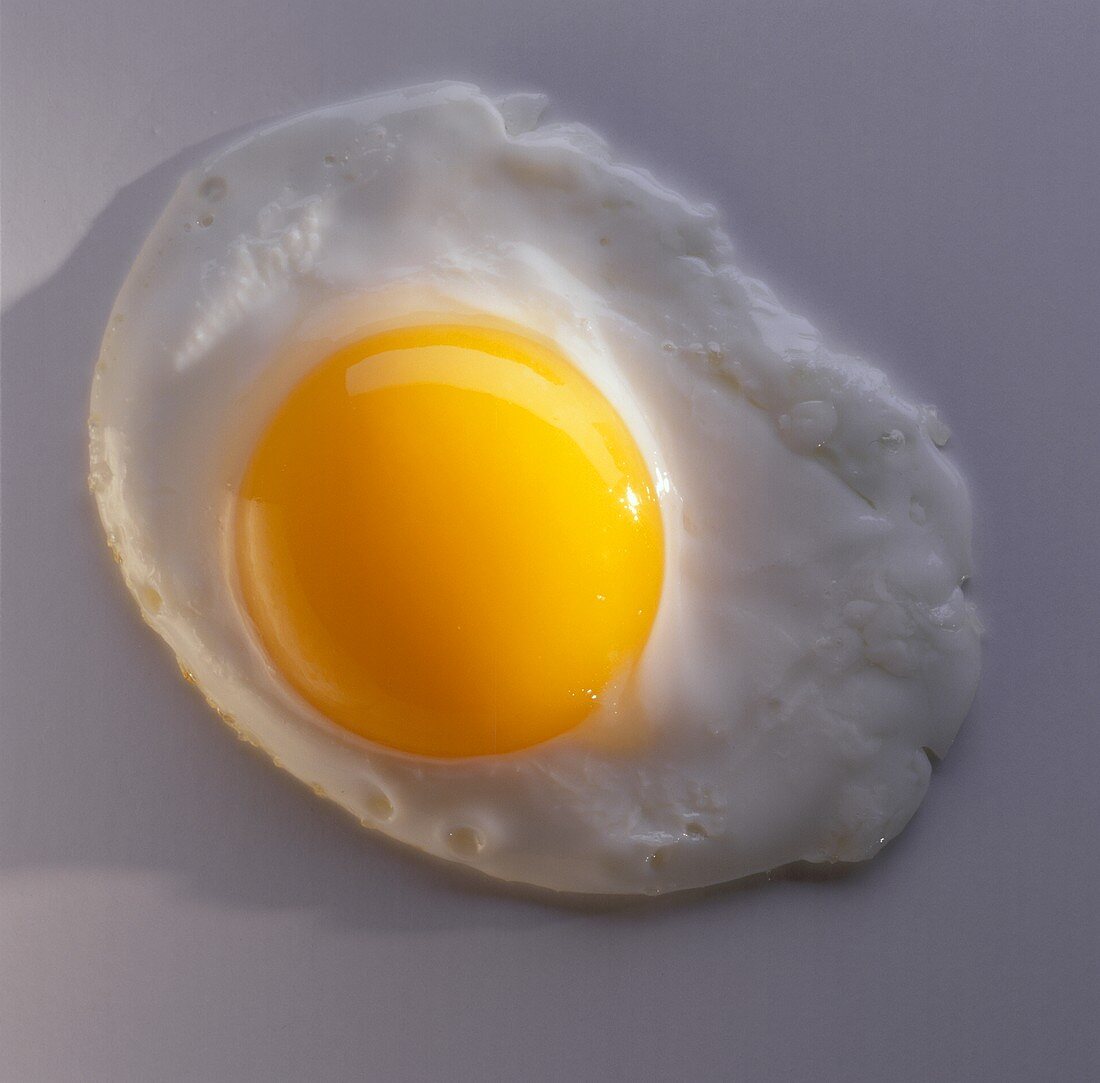 One Fried Egg; Sunny Side Up