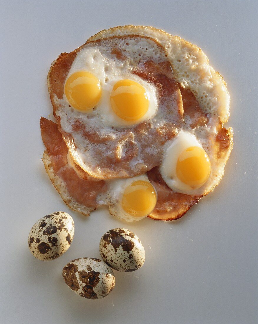 Fried Quail Eggs on Slices of Ham; Whole Quail Eggs