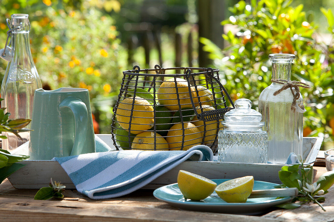 Ingredients For Lemonade: Citrus Limon (Lemons, Limes)