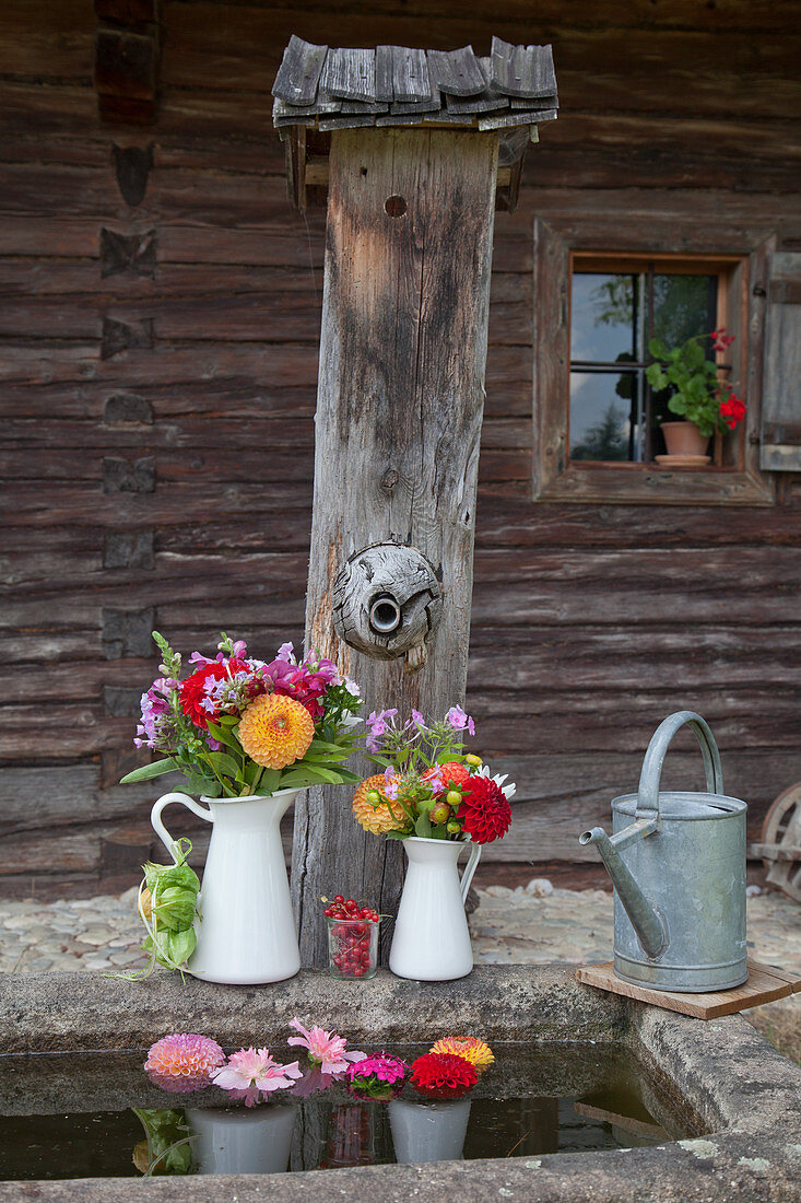 Posies of pompon dahlias, sage, phlox and snapdragons in white milk jugs on edge of water basin