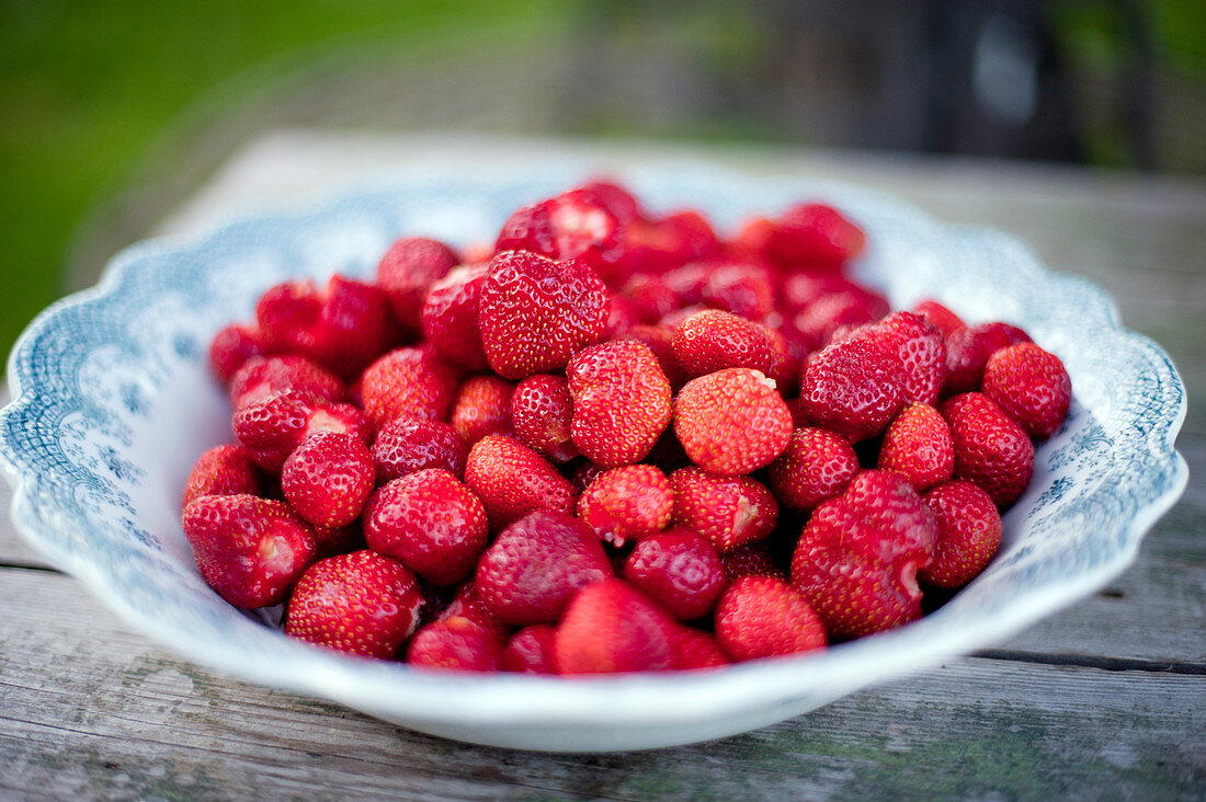 Frische Erdbeeren auf Teller