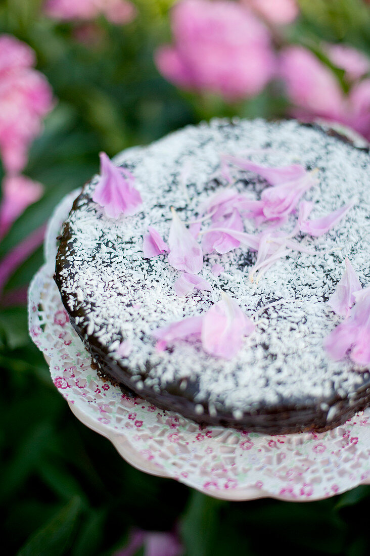 Chocolate cake decorated with grated coconut and petals