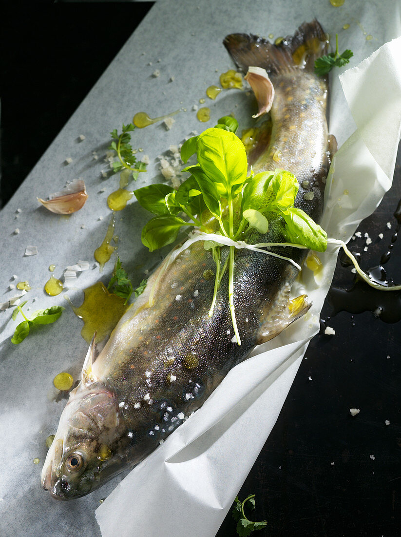 Fresh trout with herbs, salt and oil on paper