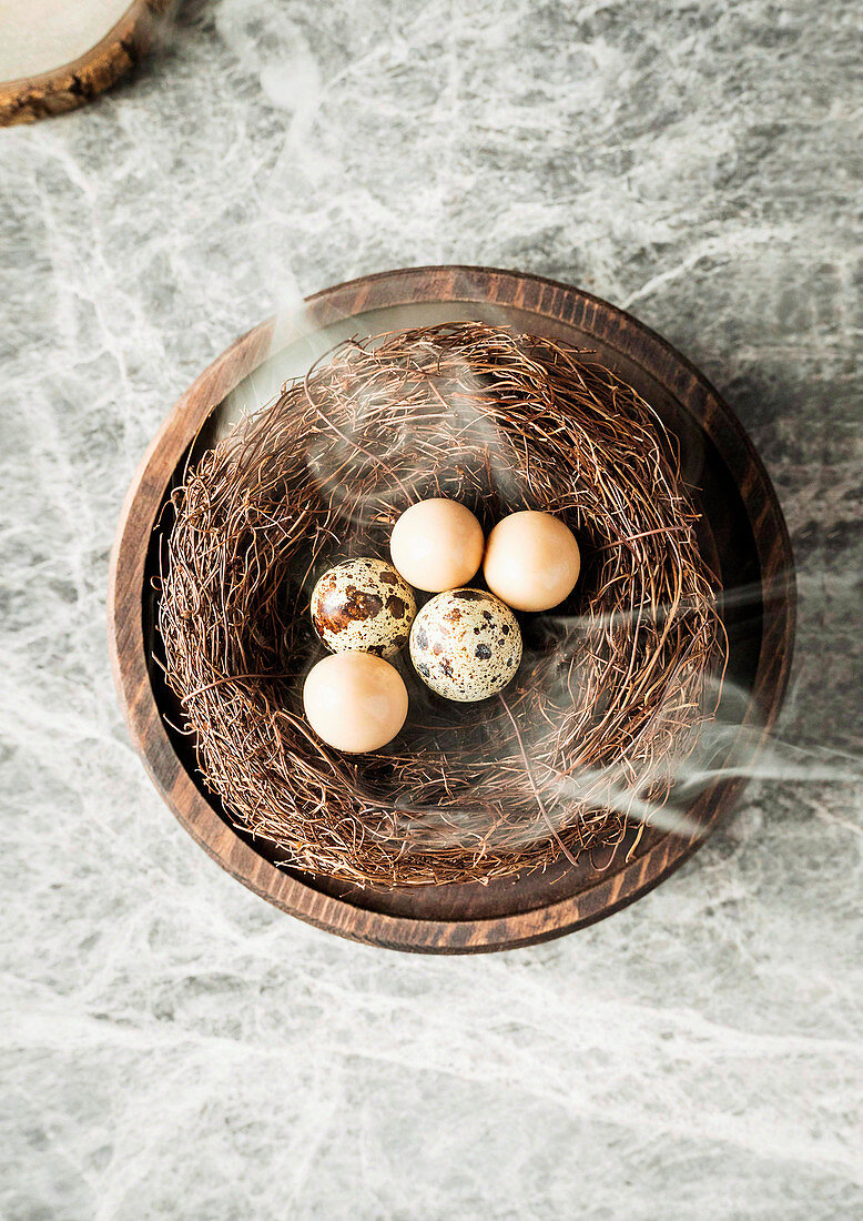 Verschiedene Eier im Nest