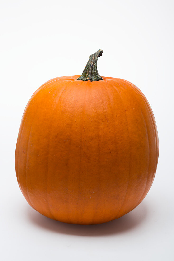 A large Halloween pumpkin against a white background