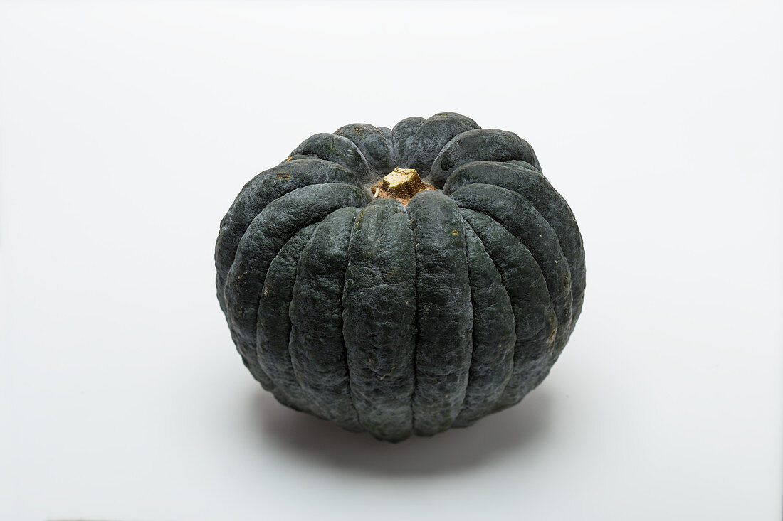A dark green pumpkin on a white surface