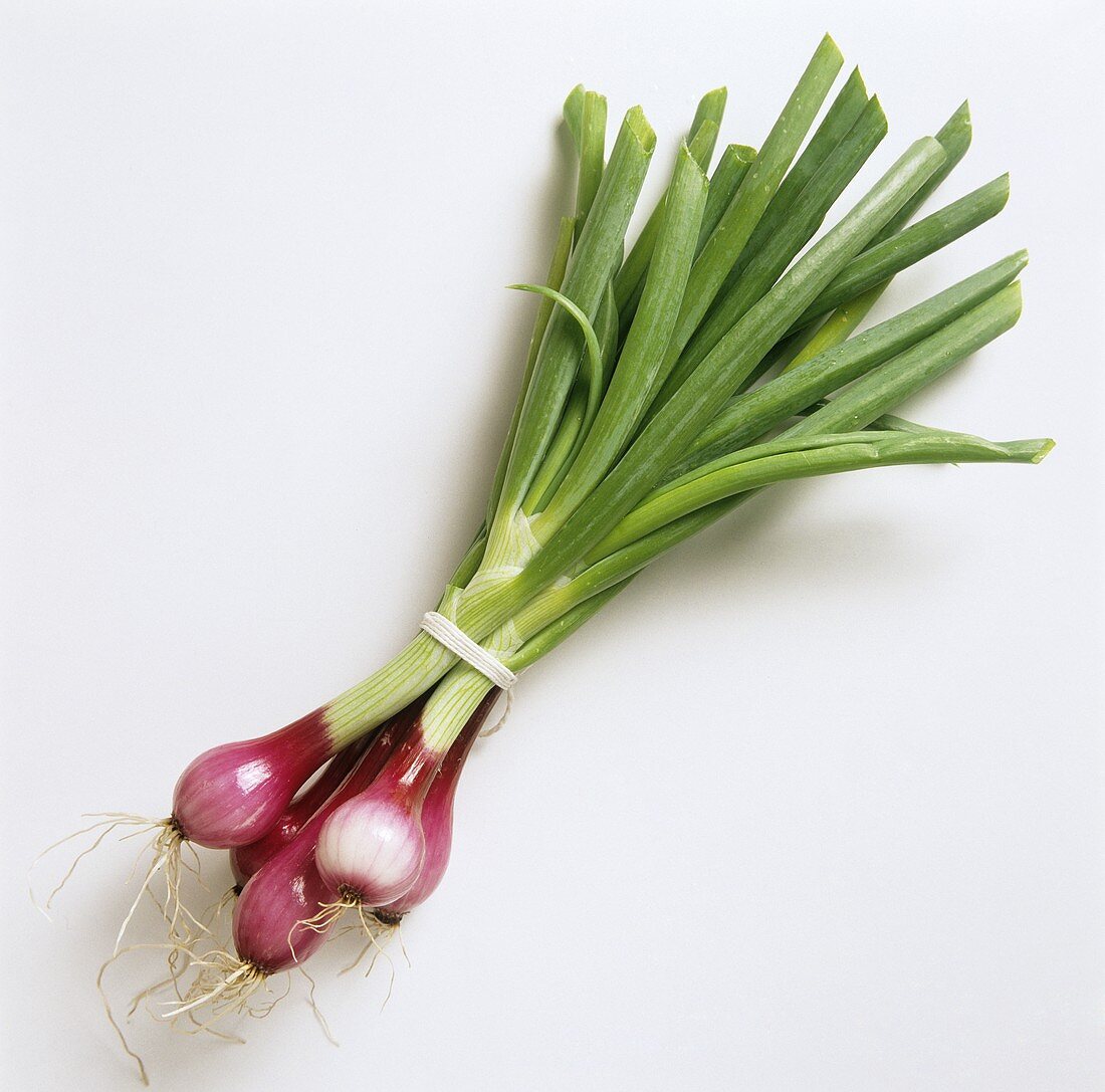 Bunch of Red Spring Onions