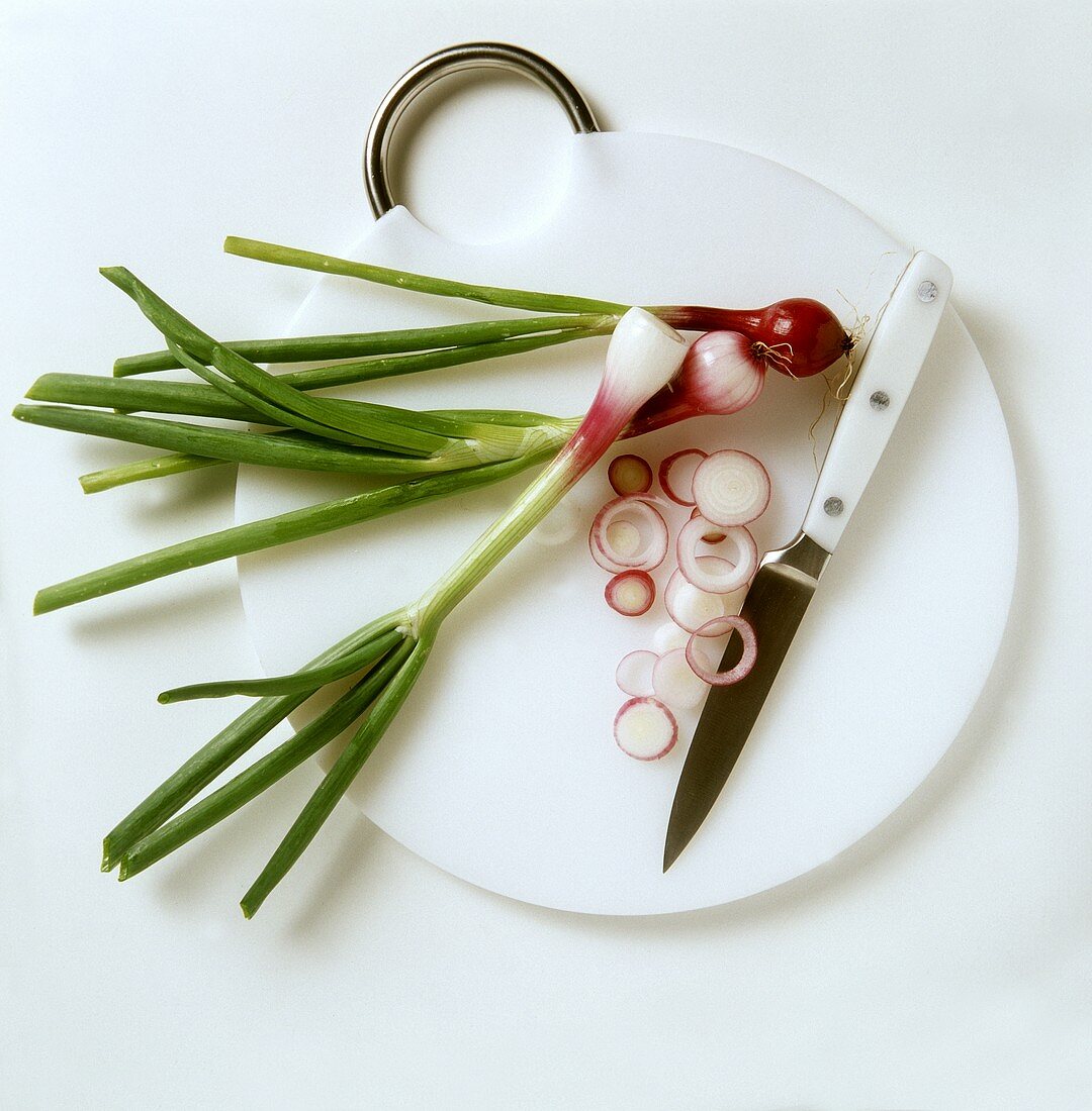 Rote Frühlingszwiebeln, angeschnitten mit Messer auf Brett