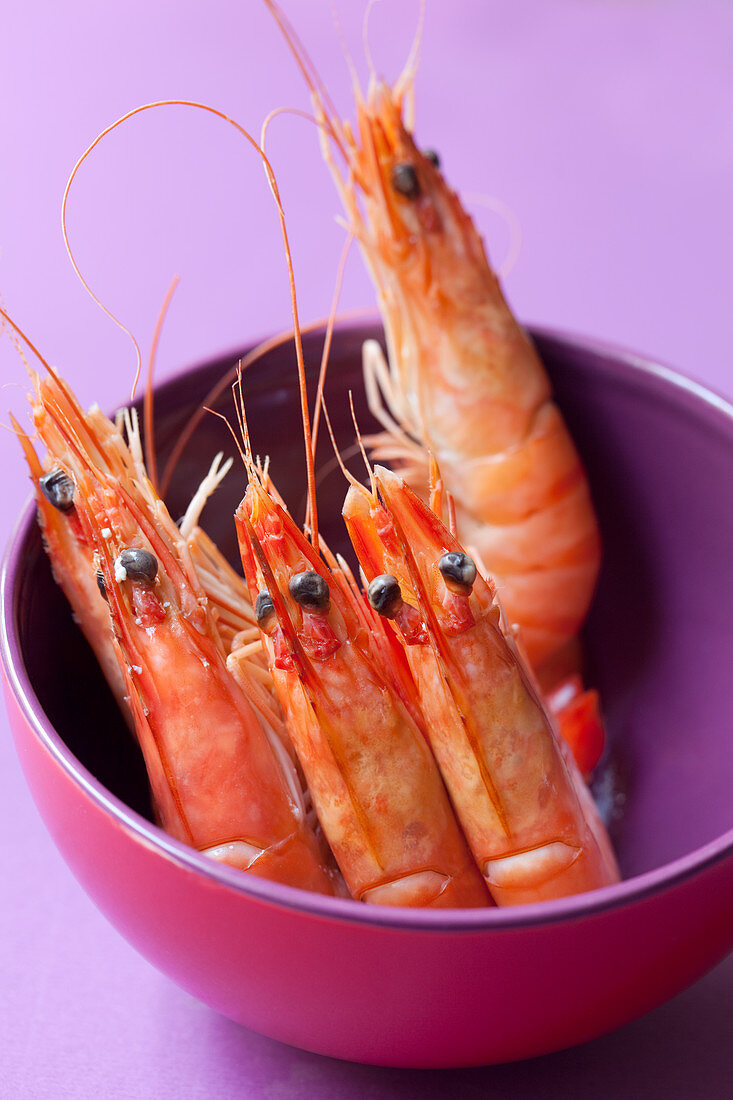 Prawns in a purple bowl