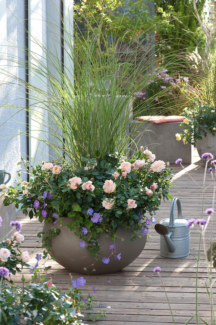 Gray Bowl With Pink 'garden Of Roses'