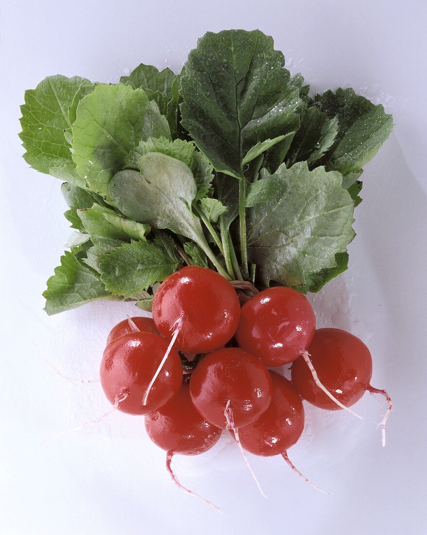 Red Radishes