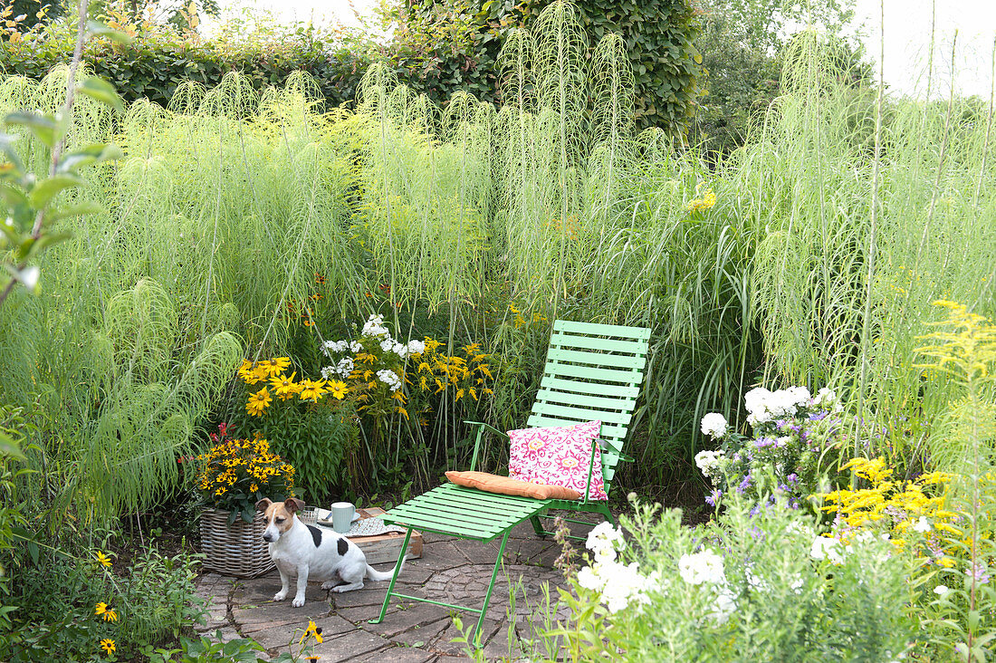 Protected seat at the perennial border