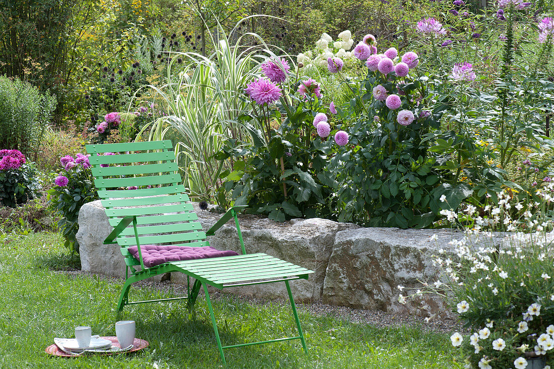 Deck chair in the garden near Dahlia flower bed