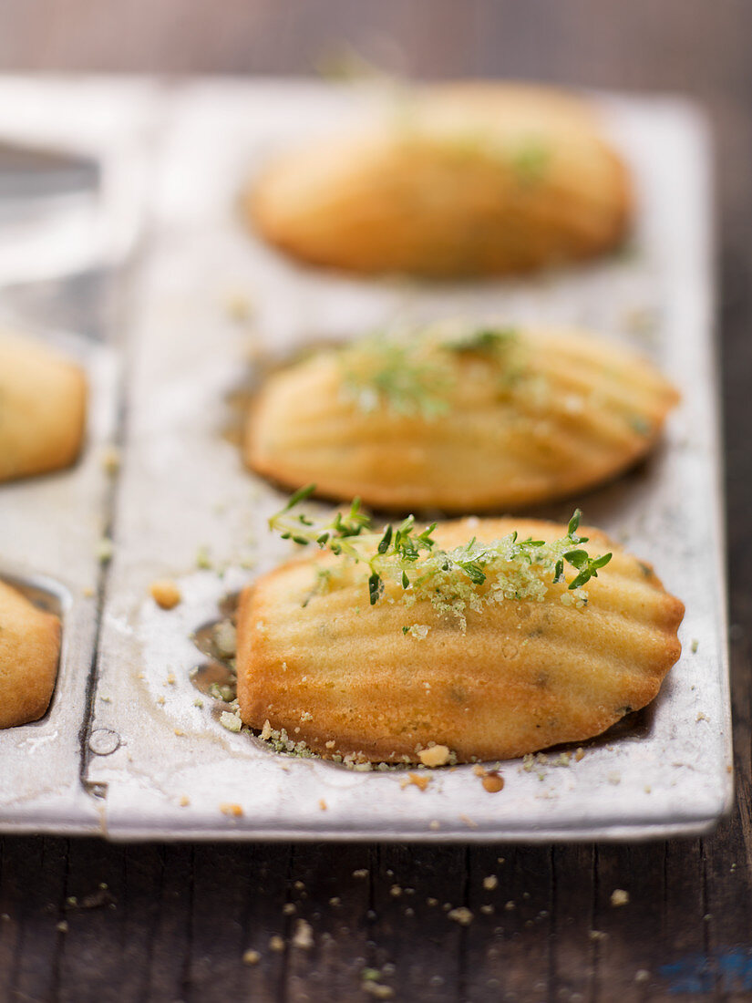 Madeleines with thyme