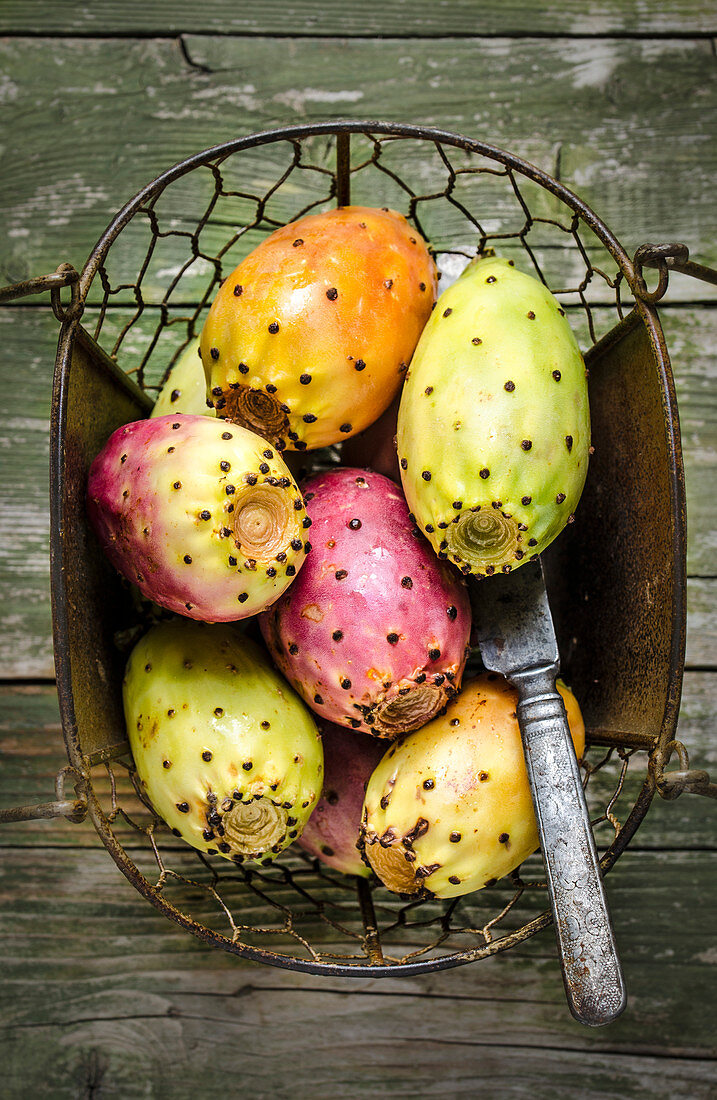 Prickly pears in metal chest