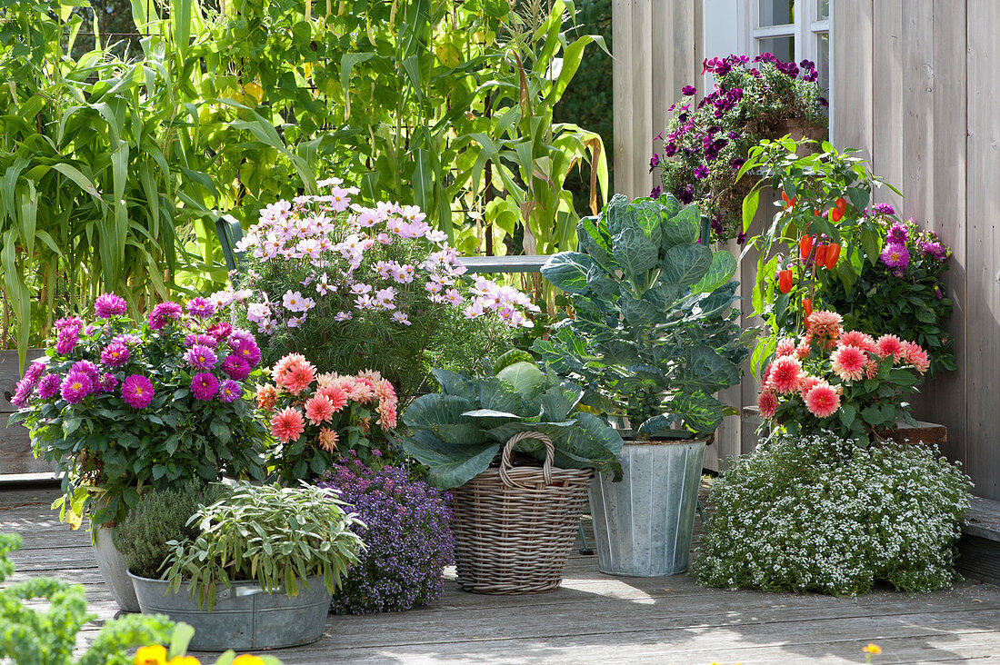 Arrangement Of Vegetables And Summer Flowers
