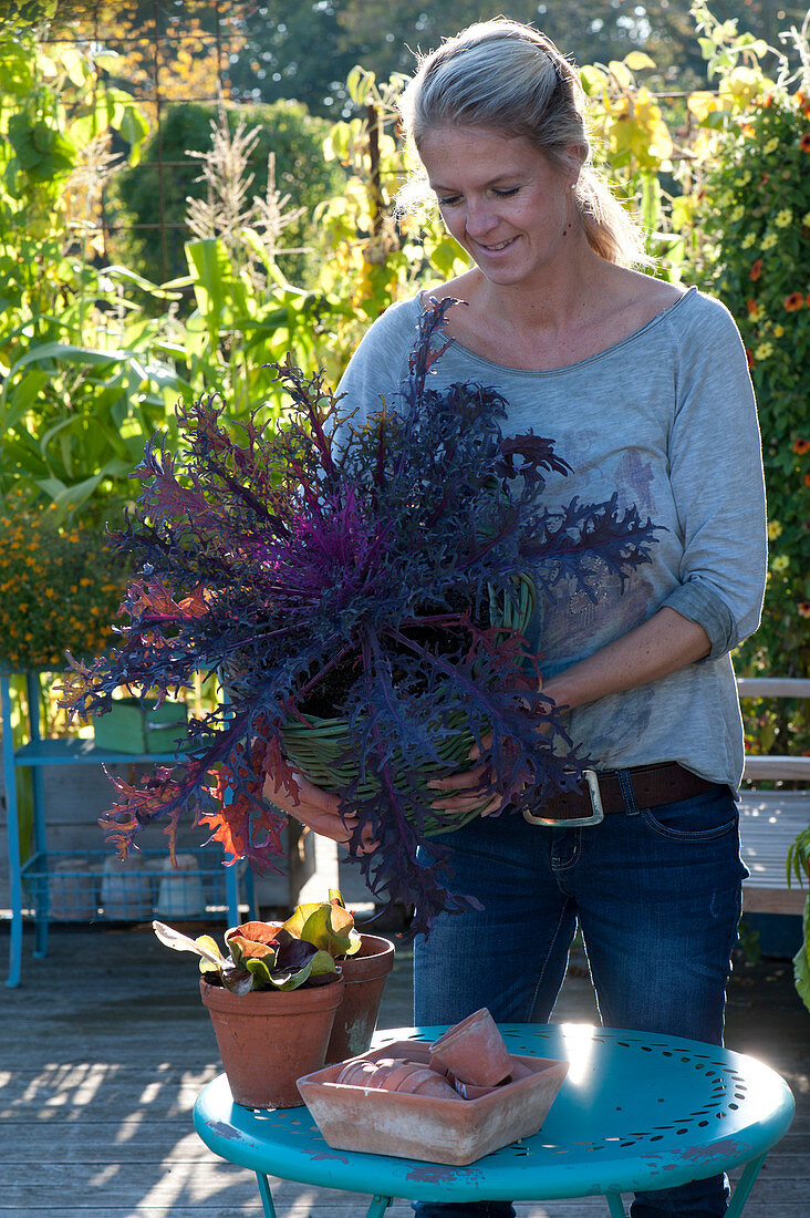 Woman Shows Magnificent Brassica 'peacock' (Ornamental Cabbage) In Basket