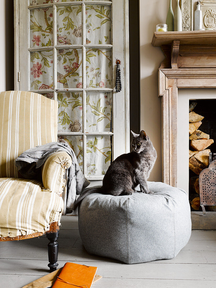 Katze sitzt auf grauem Sitzpouf im nostalgischen Wohnzimmer