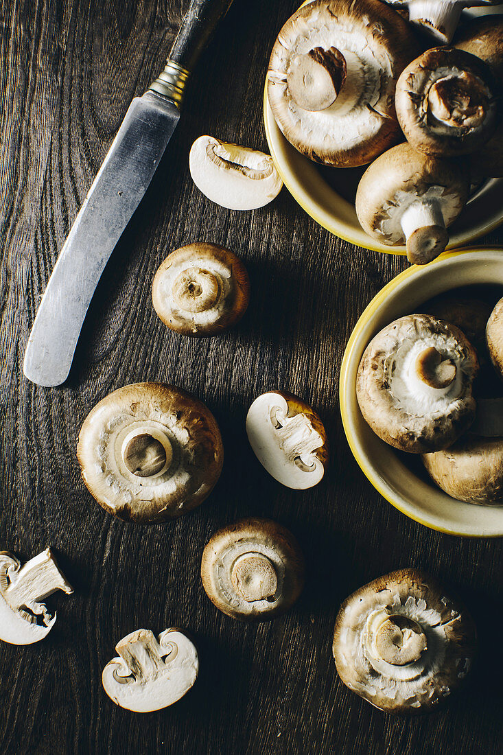 Fresh champignon mushroom