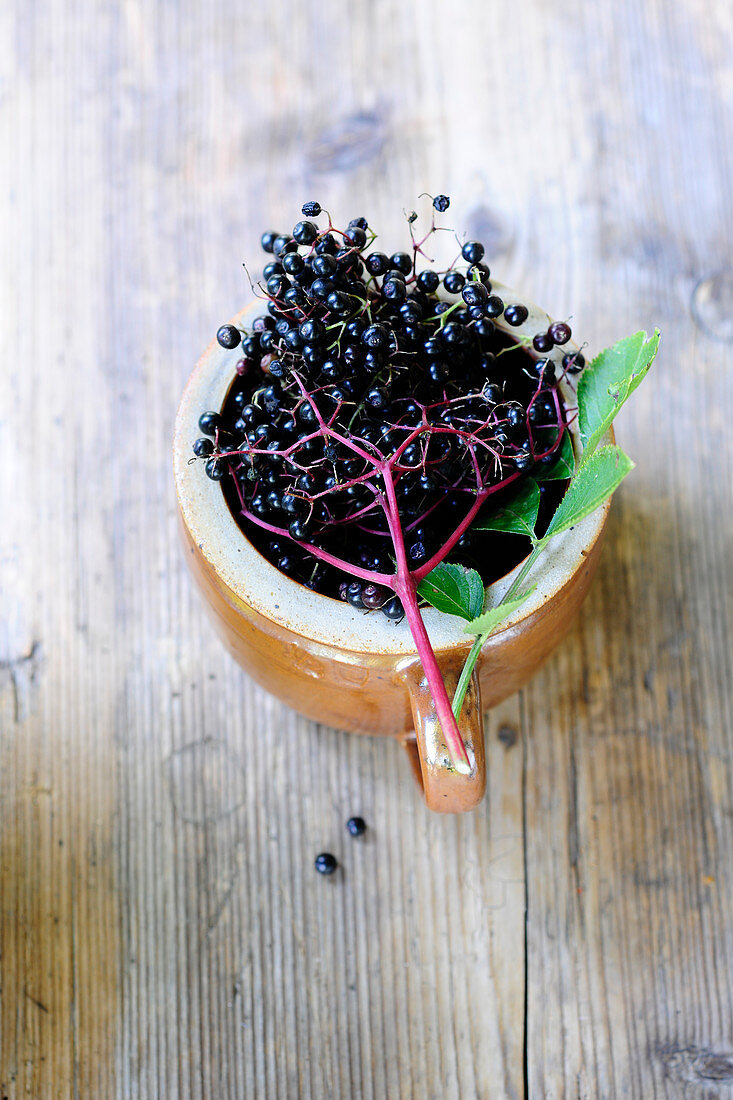 Fresh elderberries in a stone mug (top view)