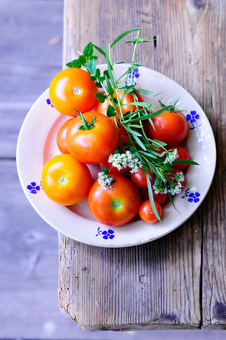 Fresh tomatoes with tarragon and oregano sprigs on a plate (top view)