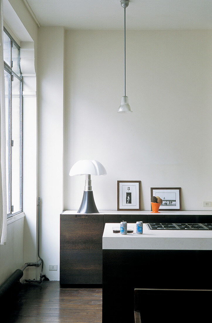 Dark cabinets in modern minimalist kitchen