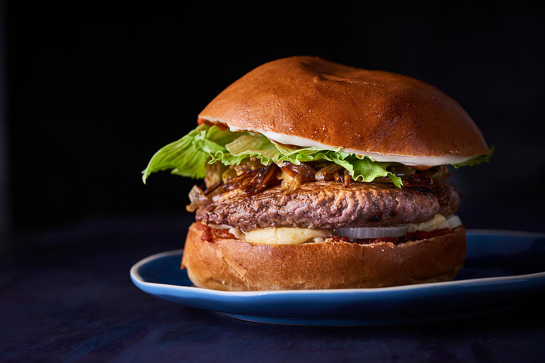 A beefburger on a plate against a dark background (close up)