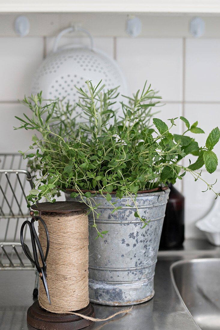 Herbs in metal bucket and reel of twine in kitchen