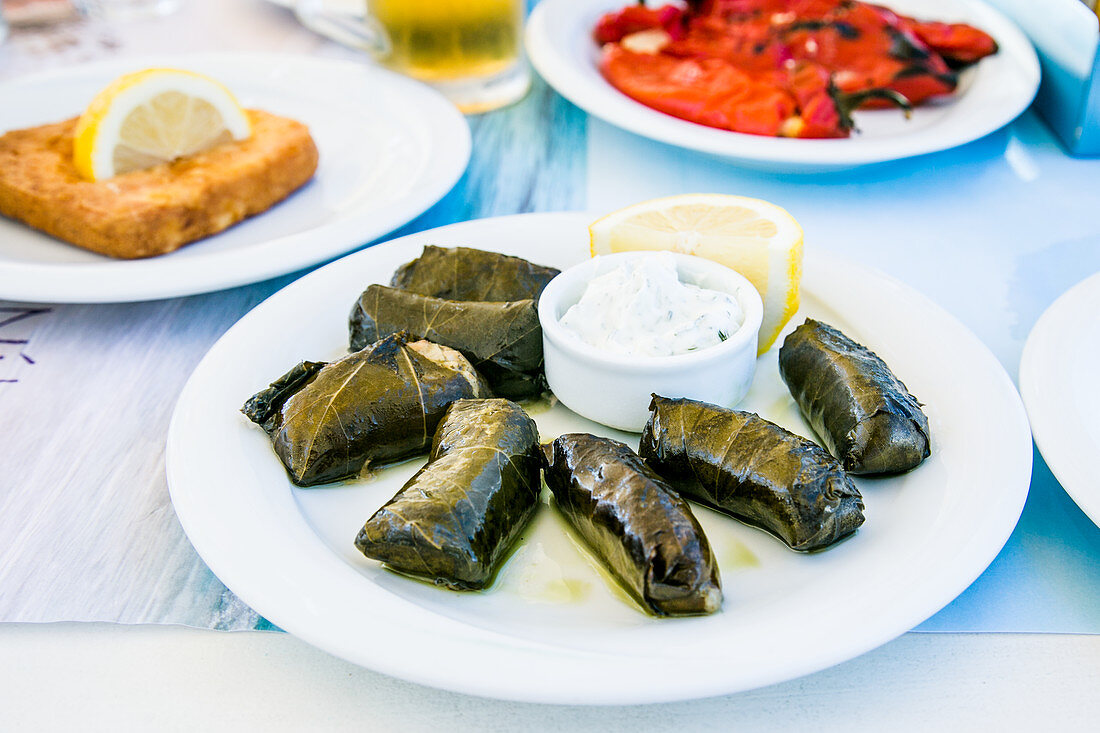 Dolmades serviert mit Tzatziki-Sauce (Griechenland)