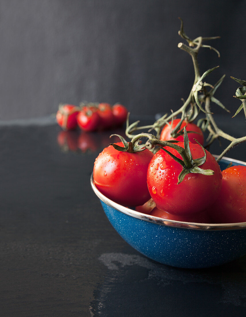 Freshly Washed Vine Ripened Tomatoes in a Blue Enamel Bowl