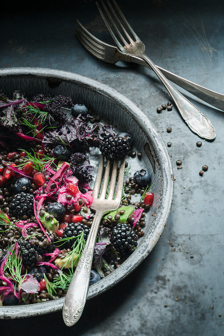 A lentil, blackberry, red cabbage and dill
