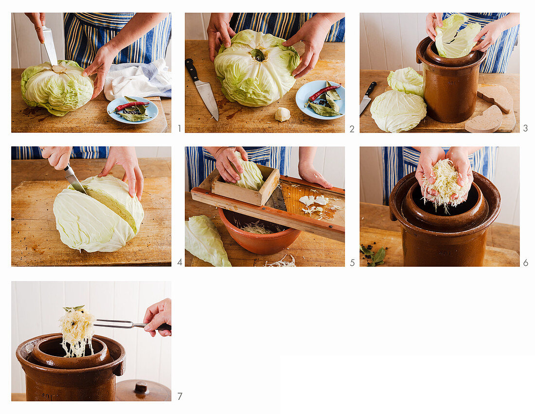 White cabbage being lacto-fermented