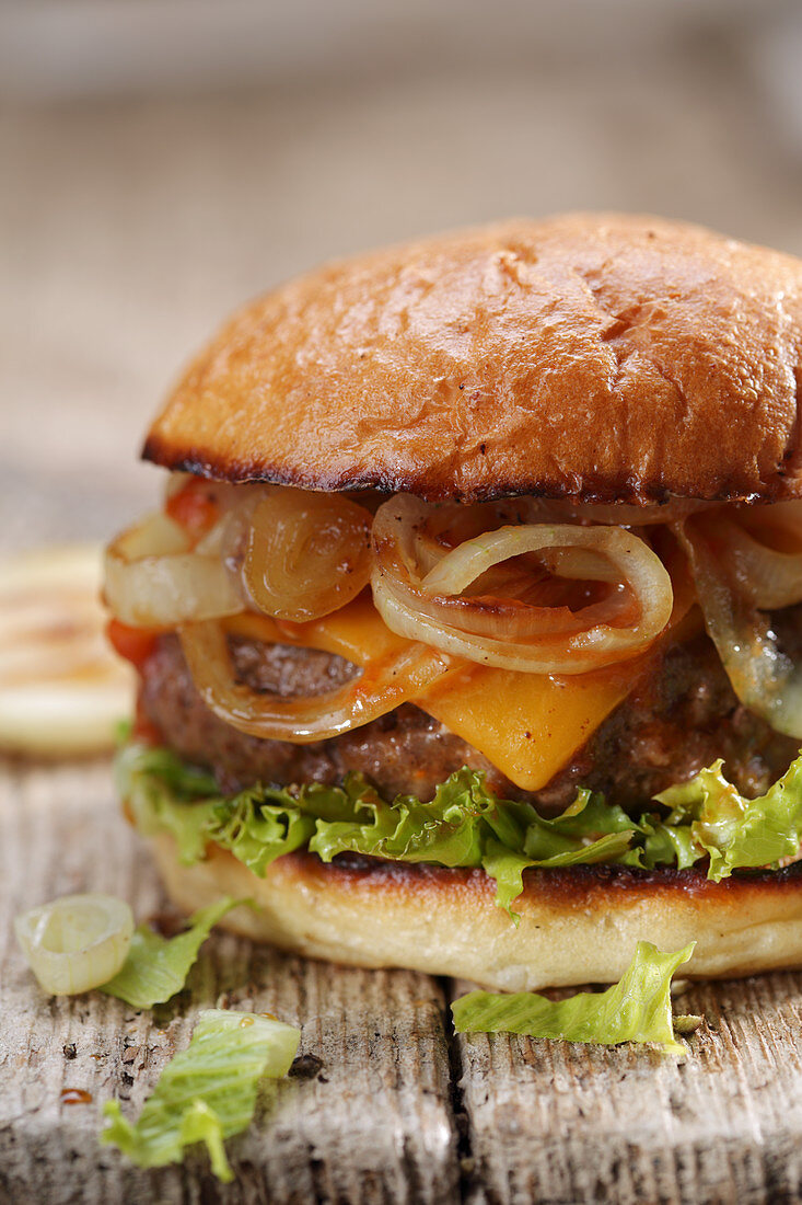 Cheeseburger with onions (close-up)