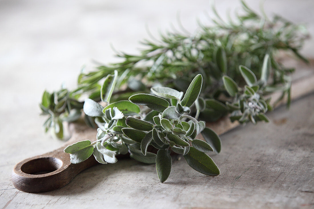 Sprigs of fresh herbs (sage and rosemary)