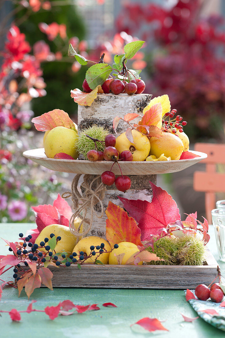 Table Decoration With Autumn Fruits In A Self-Made Cake Stand