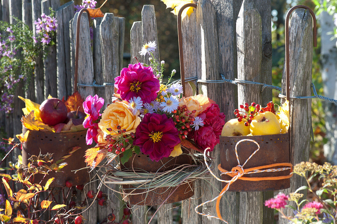 Autumn Flowers As Welcome At The Garden Fence