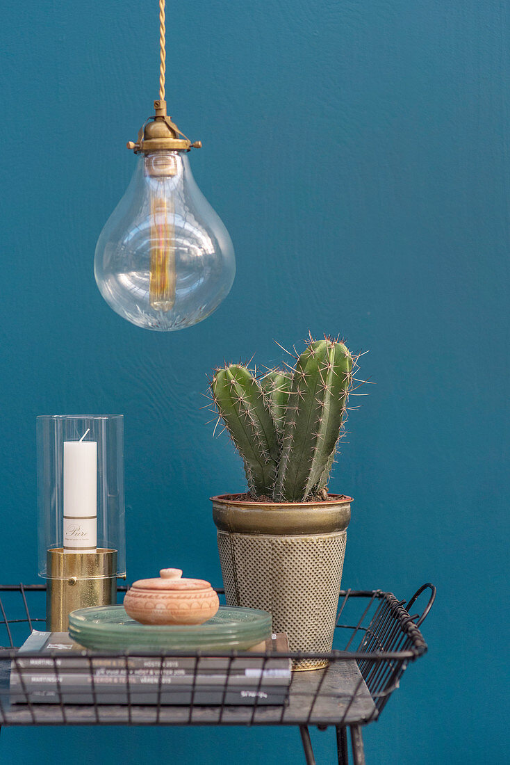 Cactus and ornaments in metal basket against blue wall