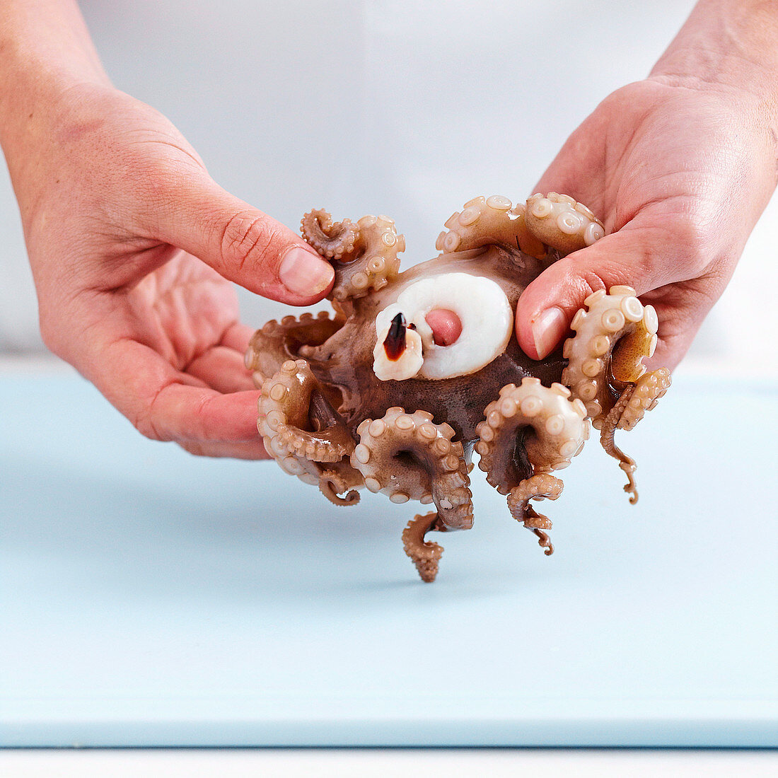 How to prepare octopus