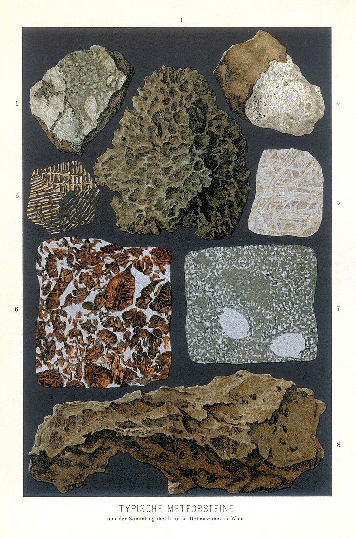 Meteorite specimens, 19th century