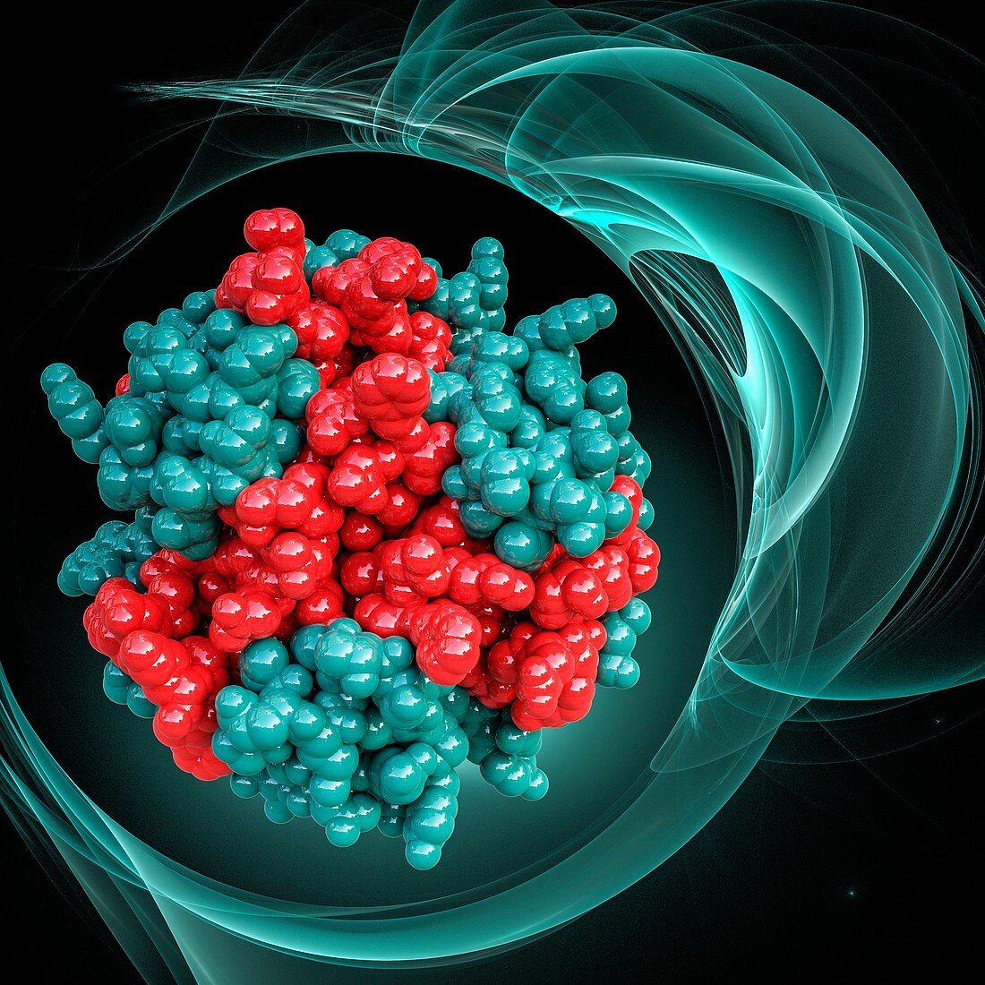 Insulin molecule