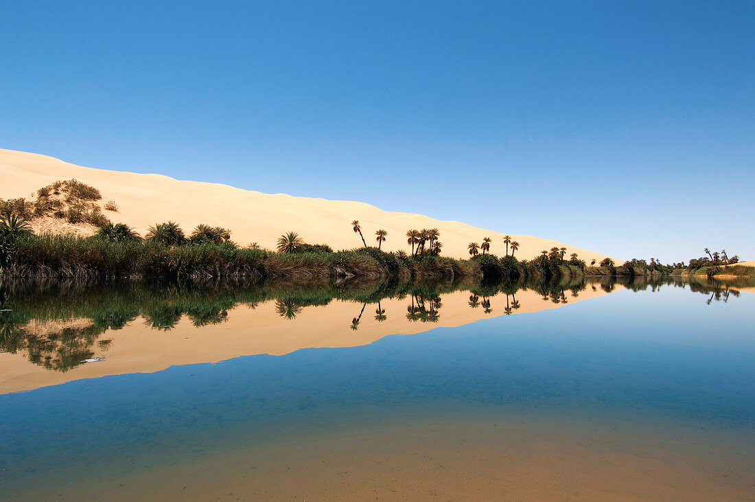 Umm El Ma lake, Sahara Desert
