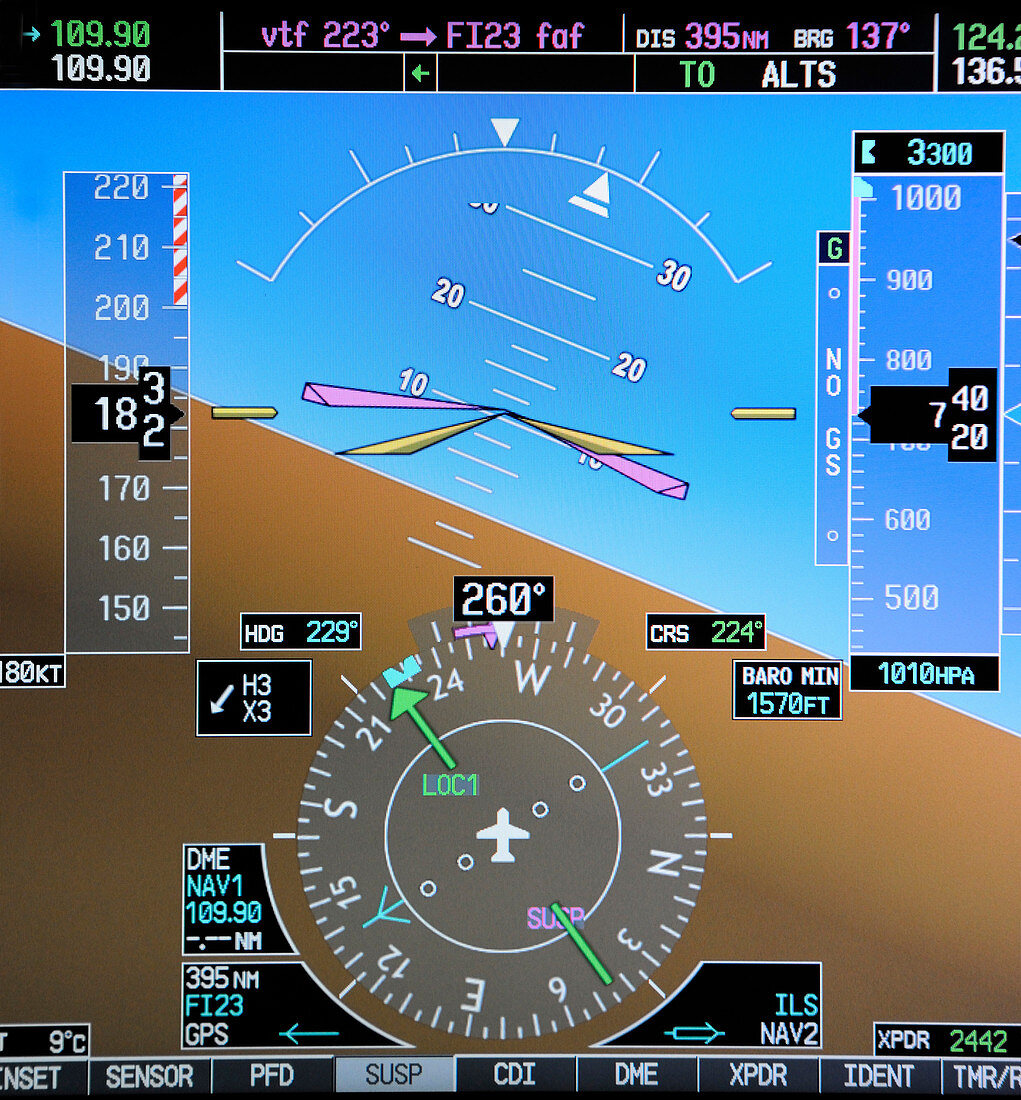 Flight simulator instrument display