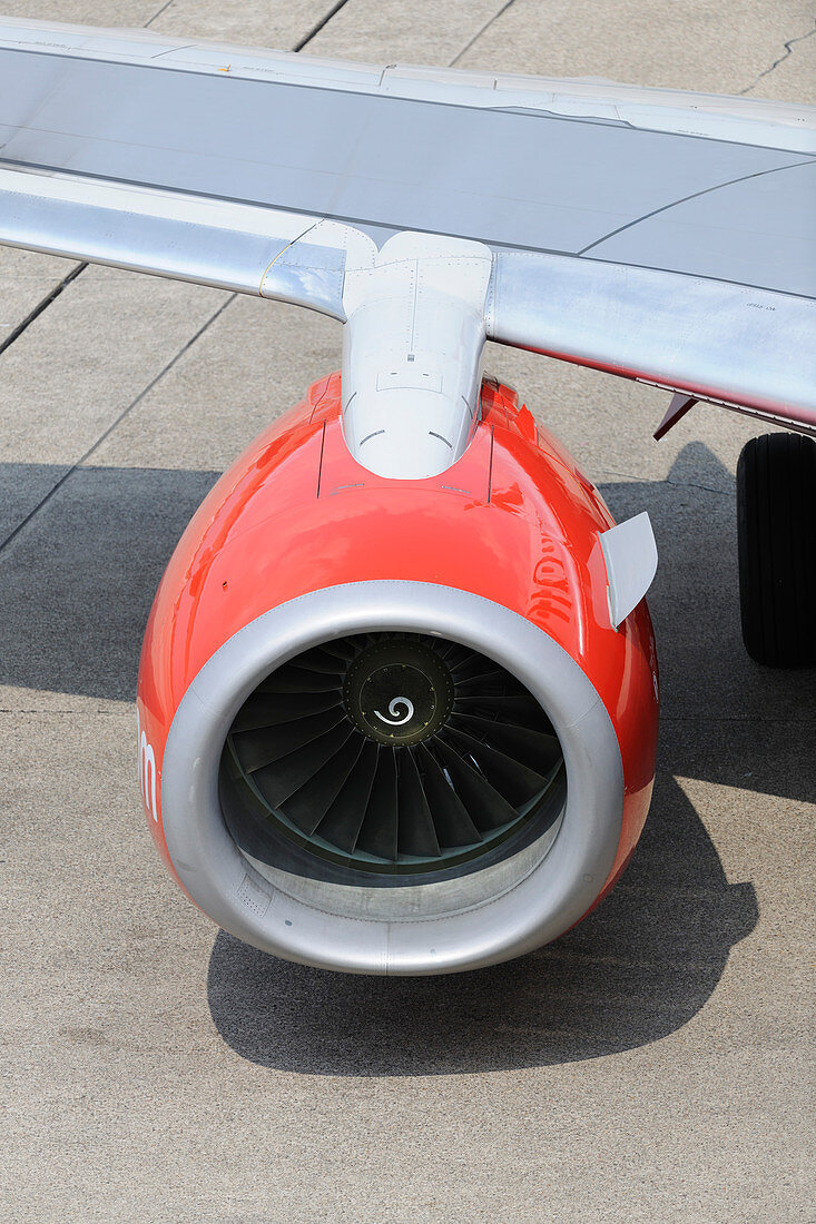 Airbus A319-110 engine-intake