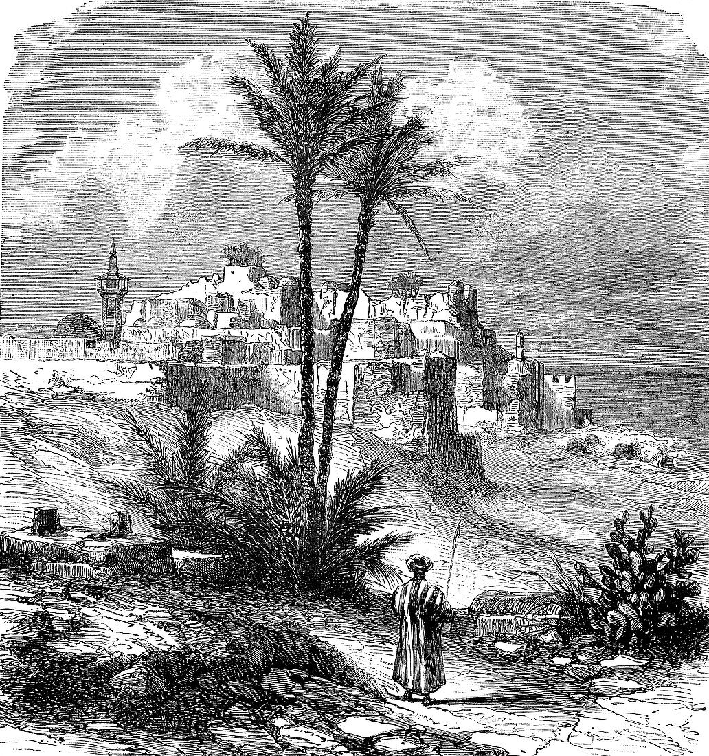 Jaffa, Palestine, 19th Century illustration